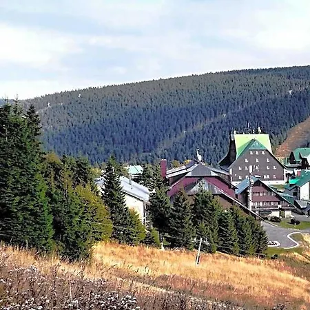 M Jeseník